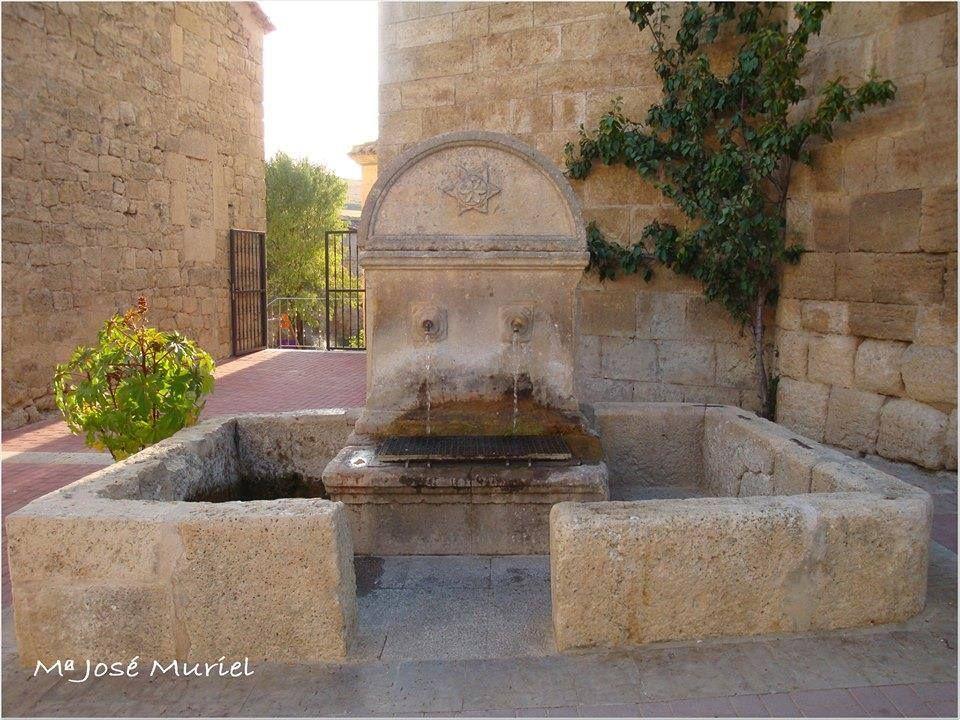 FUENTE HONTANAS